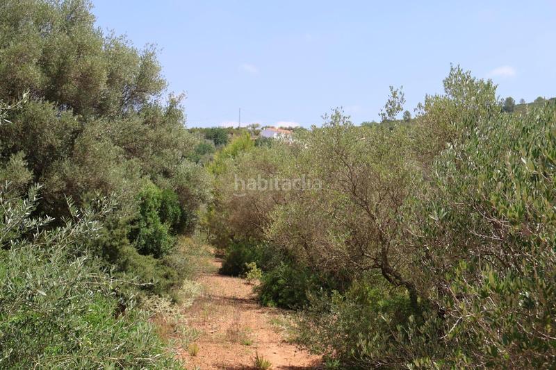 Foto 8ef2f4b4-5d5e-4ddb-99de-0d9cba6e04c6. Bauernhof in Vall d´Alba