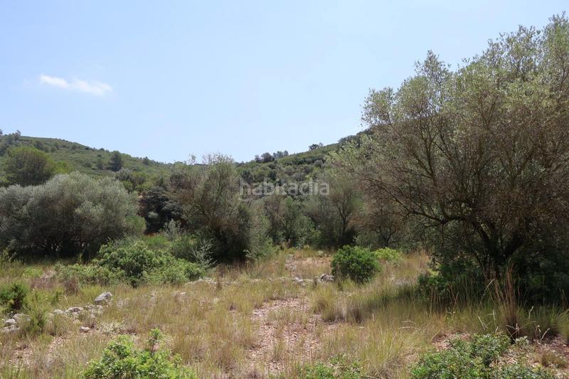 Foto 90cd5a98-66fa-4504-8fda-26e701f98564. Bauernhof in Vall d´Alba