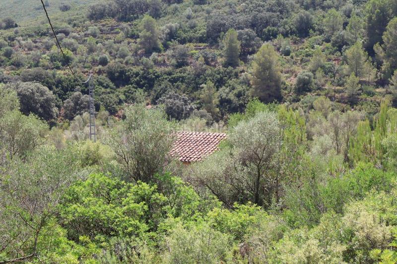 Foto 94739bc7-aa7a-439d-bcfb-8d369f142f80. Bauernhof in Vall d´Alba