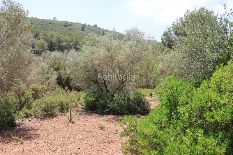 Foto b45eebe8-58ba-4482-9380-ae0a0a2bbf41. Bauernhof in Vall d´Alba