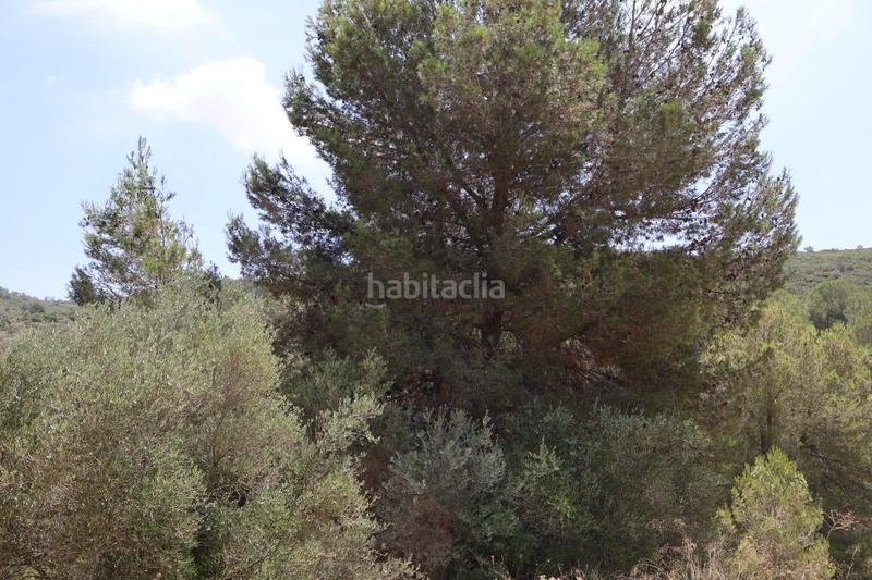 Foto b99f22ef-5d9e-4d12-9ade-e21be325219a. Bauernhof in Vall d´Alba