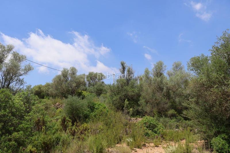 Foto d00d5627-2bb3-4416-96e7-21c579f25a50. Bauernhof in Vall d´Alba