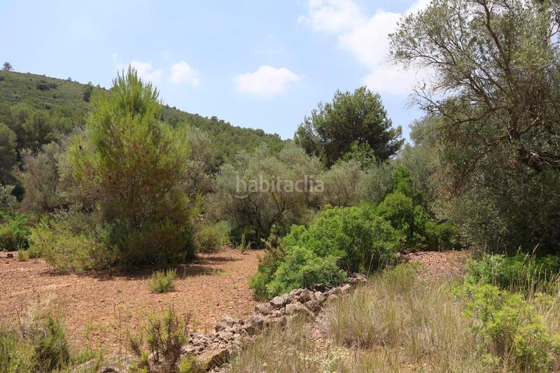 Foto d2244ad1-9d82-4035-91e9-a36c110da816. Bauernhof in Vall d´Alba