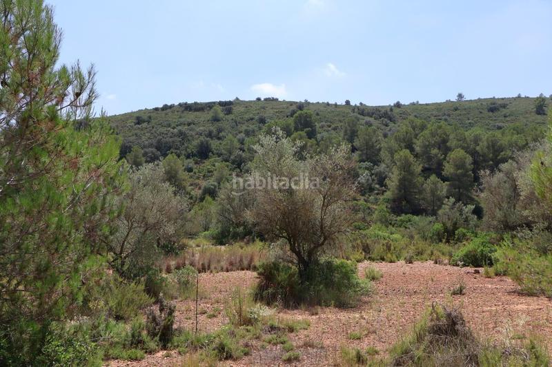 Foto d5838a37-0652-4da1-bf1b-3b74e63afc3c. Bauernhof in Vall d´Alba