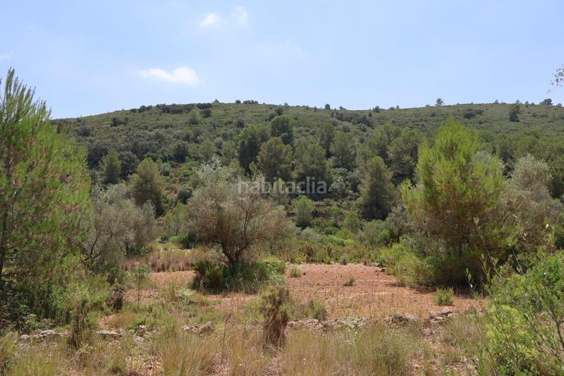 Foto e8536495-f767-40b1-b746-9ed26c12fa7c. Bauernhof in Vall d´Alba