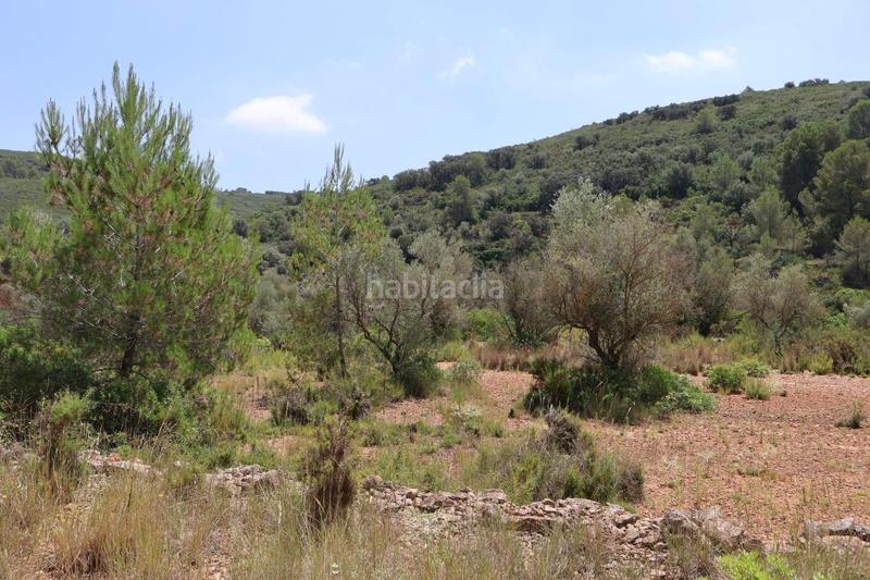 Foto ee40338b-05a3-480f-a3ab-739c9ede0c2a. Bauernhof in Vall d´Alba