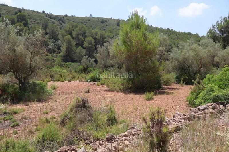 Foto f1818cf3-ecea-4fc3-95c8-d029fd9afe39. Bauernhof in Vall d´Alba