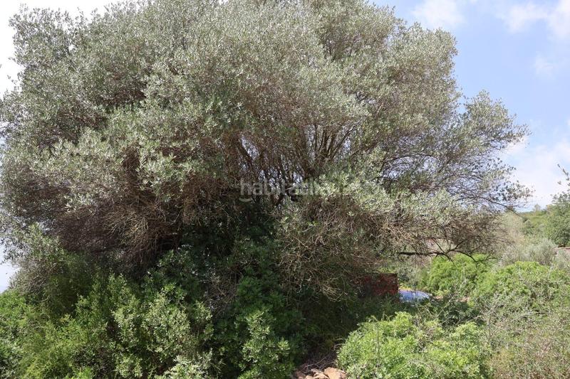 Foto f852e60d-01a6-4c9f-b5bb-1026d08da6ac. Bauernhof in Vall d´Alba