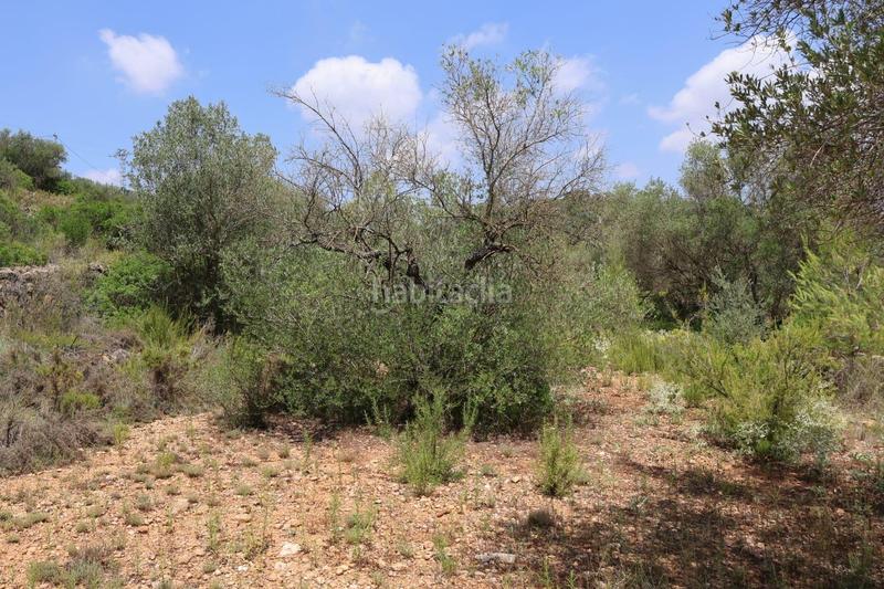 Foto fbd2236d-bdaf-4eed-a1f9-99202b400672. Bauernhof in Vall d´Alba