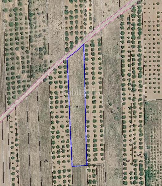 Foto 66fca1af-7df7-43ef-8d9c-432157c1801e. Landgut in Vilafamés