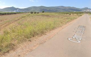 Fondo rustico  Polígono 25. Finca secano llana a pie de camino asfaltado situada en el termi