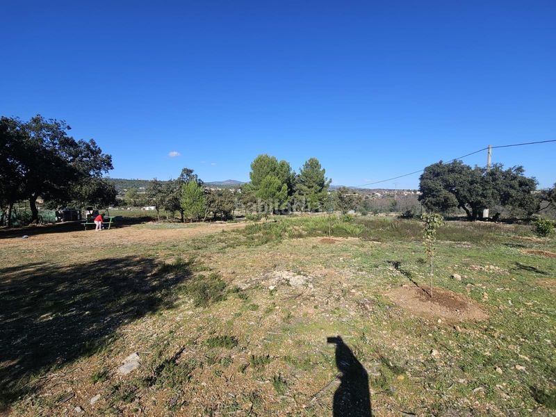 Foto 00916bf7-4691-457c-a578-430cb3c77d4d. Finca rústica a Vall d´Alba