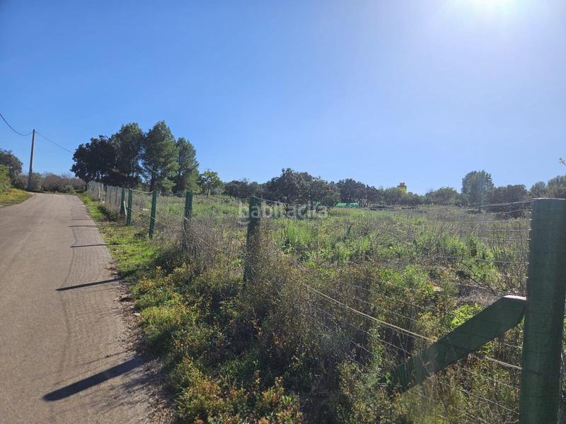 Foto 19968e15-d76f-4141-bfb7-b9c500024a7b. Fondo rustico in Vall d´Alba