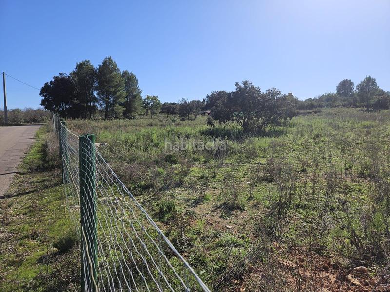 Foto 1dbdf883-8603-431b-99da-951fb2227a5e. Fondo rustico in Vall d´Alba