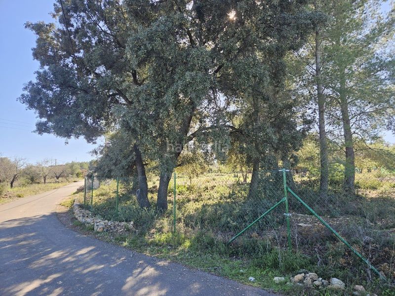 Foto 21f6cc85-6388-4b81-aa45-1df844e1e491. Finca rústica a Vall d´Alba