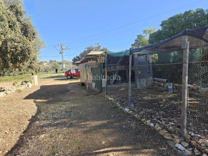 Foto 37202988-a260-4fa9-af07-06fcc8563155. Fondo rustico in Vall d´Alba