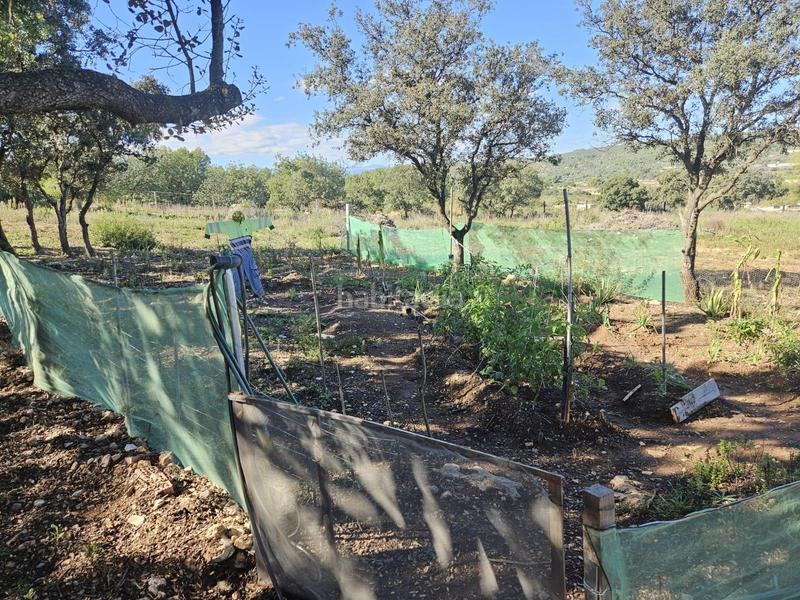 Foto 47de3354-9186-4231-badd-094a29a97784. Fondo rustico in Vall d´Alba