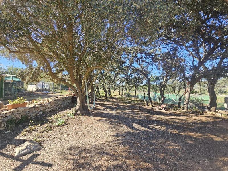 Foto 4aa0a444-f8ac-4d10-ac03-05aa0dfc8ced. Fondo rustico in Vall d´Alba