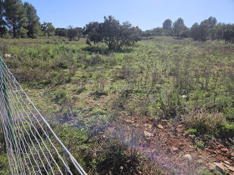 Foto 4d42e640-f0e8-41f6-802e-148c6187281a. Fondo rustico in Vall d´Alba