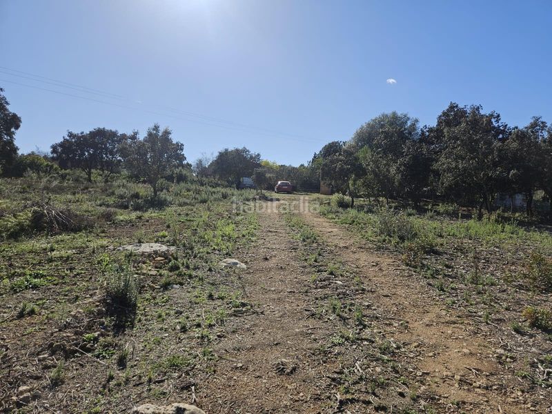 Foto 53060aab-4538-42bc-8c0e-76044a8f97cd. Finca rústica a Vall d´Alba