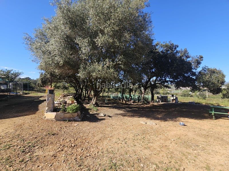 Foto 58582350-a186-414d-959a-8831a80ec7b1. Finca rústica a Vall d´Alba