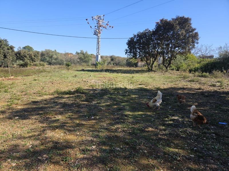 Foto 714c3d94-86b3-434e-abc8-fcb4a8001120. Fondo rustico in Vall d´Alba