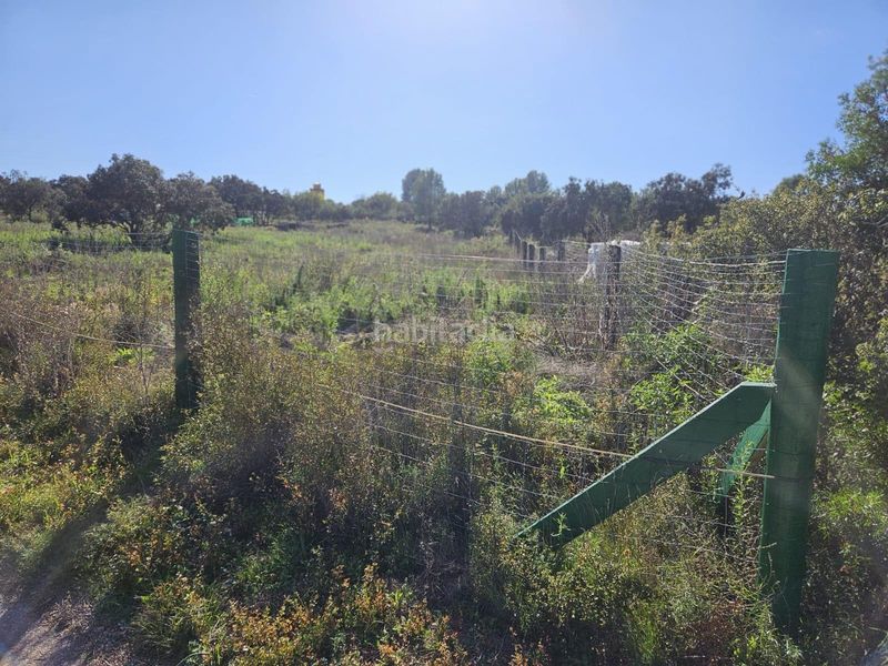 Foto 74e6772d-b34b-4e67-88d2-f6742c99ff26. Finca rústica a Vall d´Alba