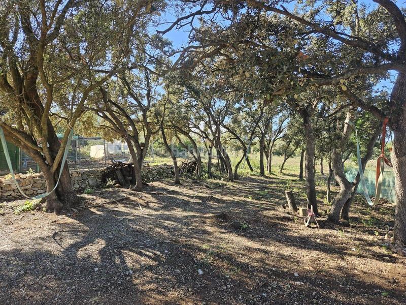 Foto 8a655f4c-a7b3-4f9f-bf63-5b4fbad19181. Fondo rustico in Vall d´Alba