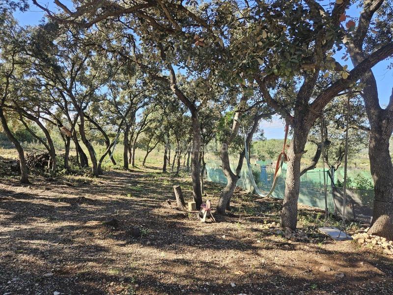 Foto ab8940c1-cf3c-42ac-80fc-17a765b55e12. Fondo rustico in Vall d´Alba