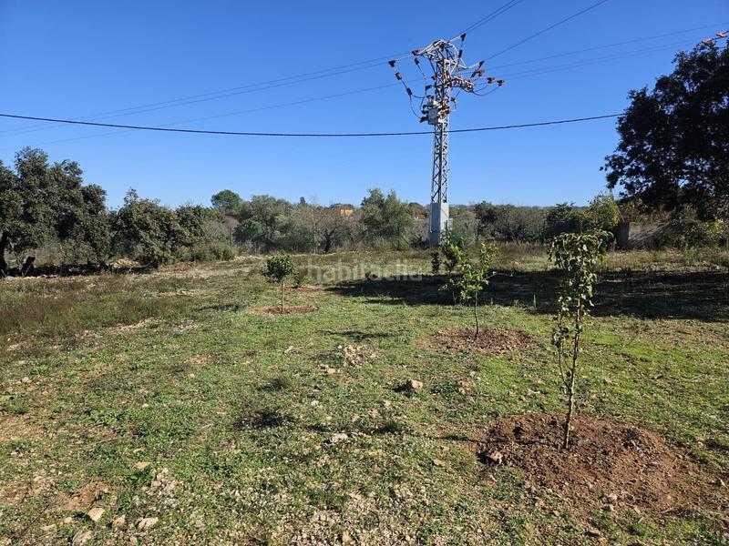 Foto c58a6481-e8a4-4b9f-9b4b-0b05a21f33f4. Fondo rustico in Vall d´Alba