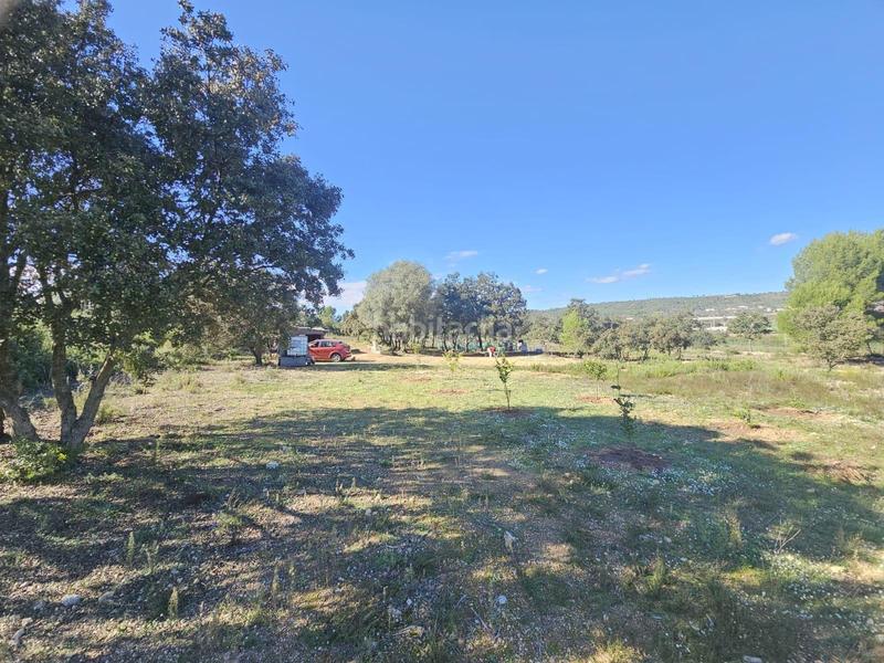 Foto e115ee72-fe46-48e6-833f-286fda7c2ec8. Fondo rustico in Vall d´Alba