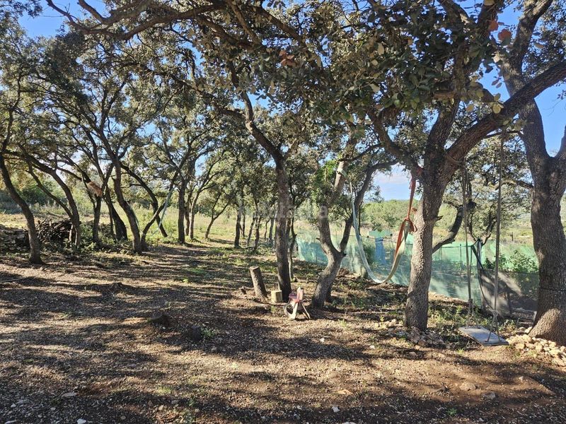 Foto eeeb6273-c5b0-493c-ac46-a6728a77b98f. Finca rústica a Vall d´Alba
