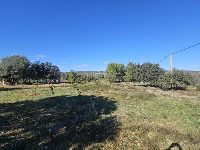 Foto ef5a4843-da1c-4225-a6ca-c35e26871c01. Fondo rustico in Vall d´Alba