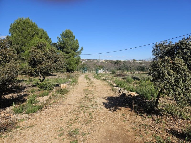Foto f66545ae-2f88-40d4-a2f9-5b75f800cd92. Finca rústica a Vall d´Alba