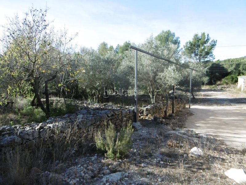 Foto 4774442c-449c-4716-85a7-4eb0572a7ffd. Masia a Sierra Engarcerán