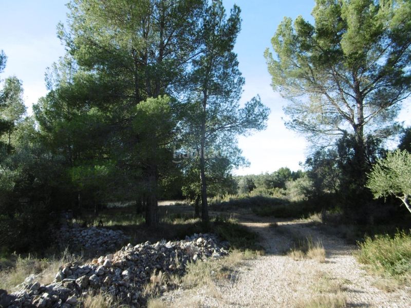 Foto 4d8b7739-1a9b-4d5e-ab53-fa5c6f539ea3. Masia a Sierra Engarcerán