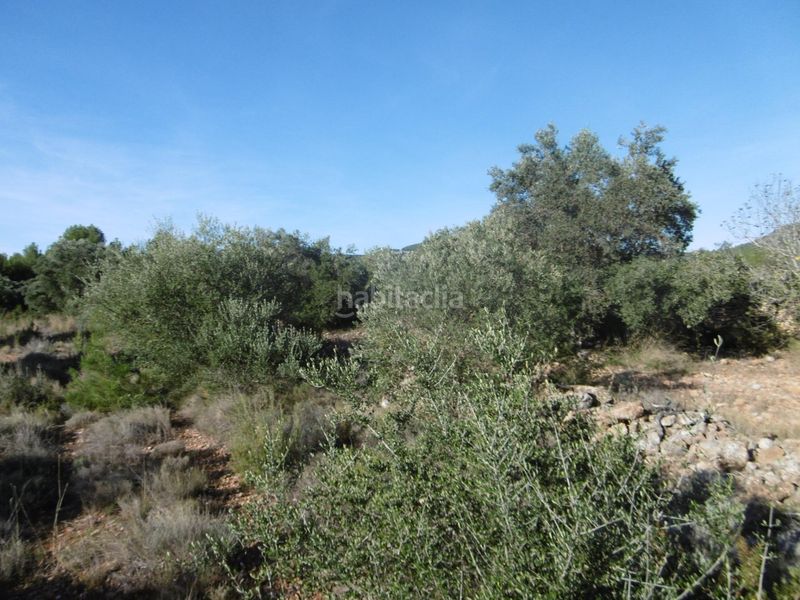 Foto 76a01c33-7003-474e-ac3d-99c7dd696745. Masia a Sierra Engarcerán