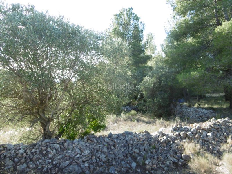 Foto a96e7344-c46e-454a-8c11-597c70db74bd. Masia a Sierra Engarcerán