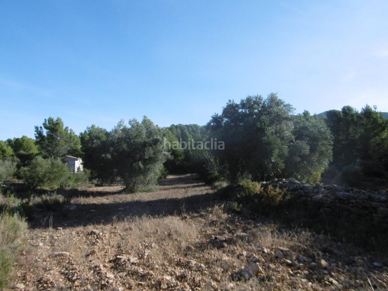 Foto b47f28ce-4179-41e8-93a7-3ff805f7e834. Masia a Sierra Engarcerán