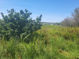 Rural plot in Vall d´Alba. Finca rustica cerca del regall zona de huerta