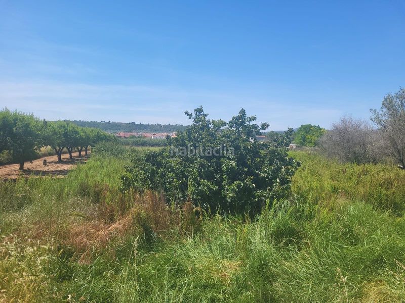Foto 9bd5de6c-cc00-4fd2-aa7e-8b4303bbda03. Finca rústica a Vall d´Alba
