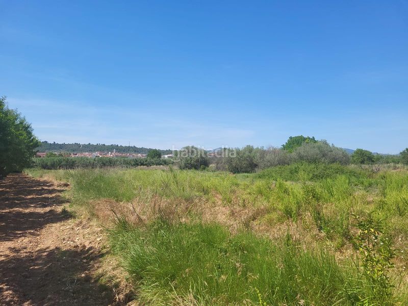 Foto a534cfa0-2797-424d-baa6-957db96e6556. Finca rústica a Vall d´Alba