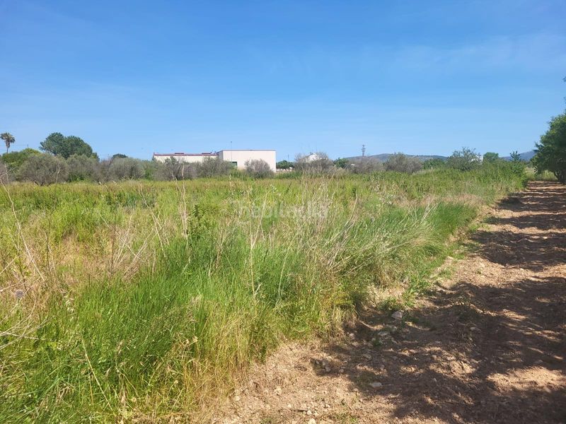 Foto b10f17ca-f2a0-44af-951c-4ecfe190f6b7. Finca rústica a Vall d´Alba