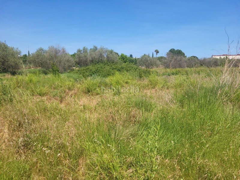 Foto f3681ff8-4a93-4396-83be-1e70299c2742. Finca rústica a Vall d´Alba