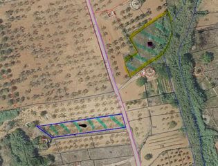 Finca rústica a Vall d´Alba. Dos fincas rusticas en venta una de regadio y otra de secano en