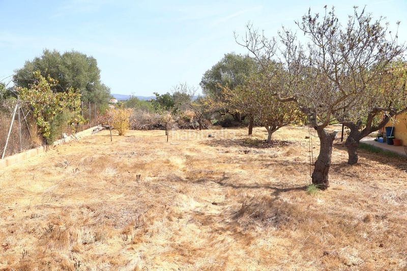 Foto 77d33a28-87b0-4d6b-a313-c3b66f7d409b. Mas dans Vall d´Alba