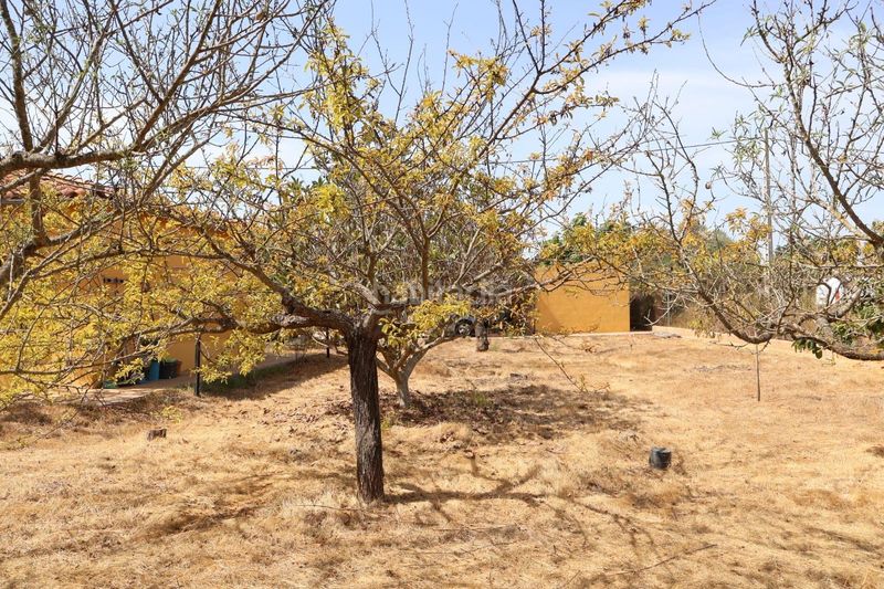 Foto 79a9b1f3-87ac-4c87-8551-e1499c9666fe. Mas dans Vall d´Alba