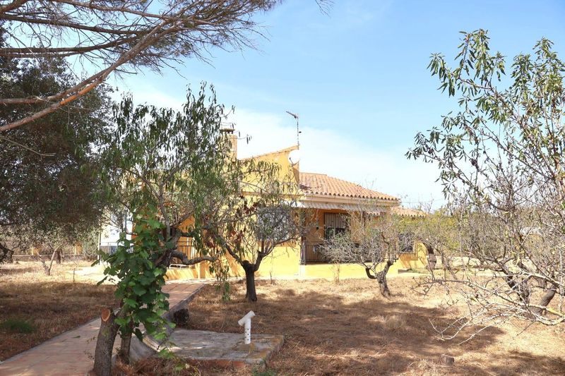 Foto ea0131c7-7f60-4d30-affe-cb8cd652b857. Mas dans Vall d´Alba