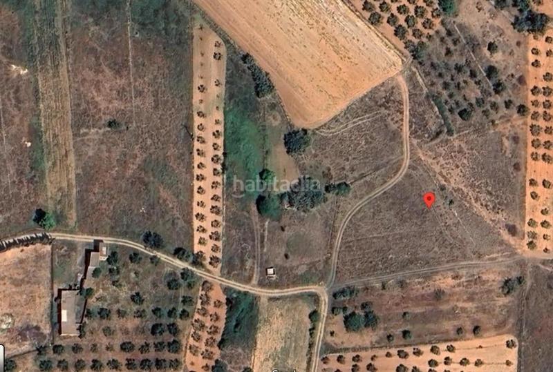 Foto 350ab244-6255-47f4-b229-6224a9e7d7ba. Finca rústica a Vall d´Alba