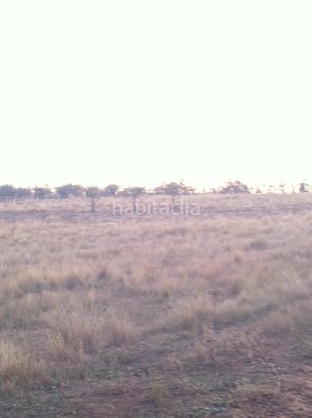 Foto 4573e552-790c-4719-8b54-6244187b25bc. Finca rústica a Vall d´Alba